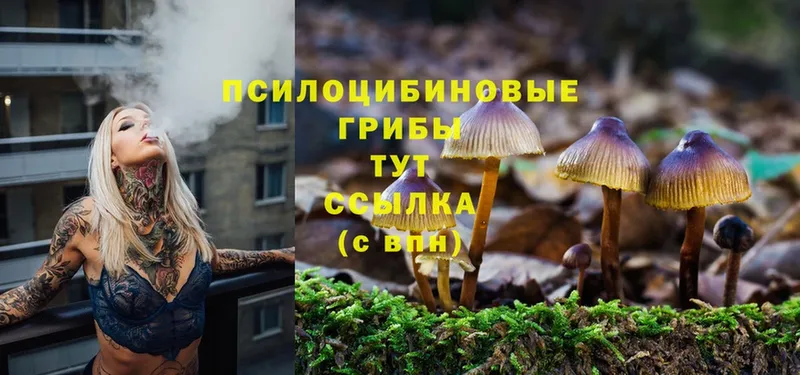 гидра ONION  Сатка  Псилоцибиновые грибы Psilocybe 